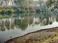 adda (115)